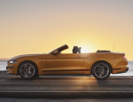 Ford Mustang: obletnica v znamenju mavrice barv v New Yorku